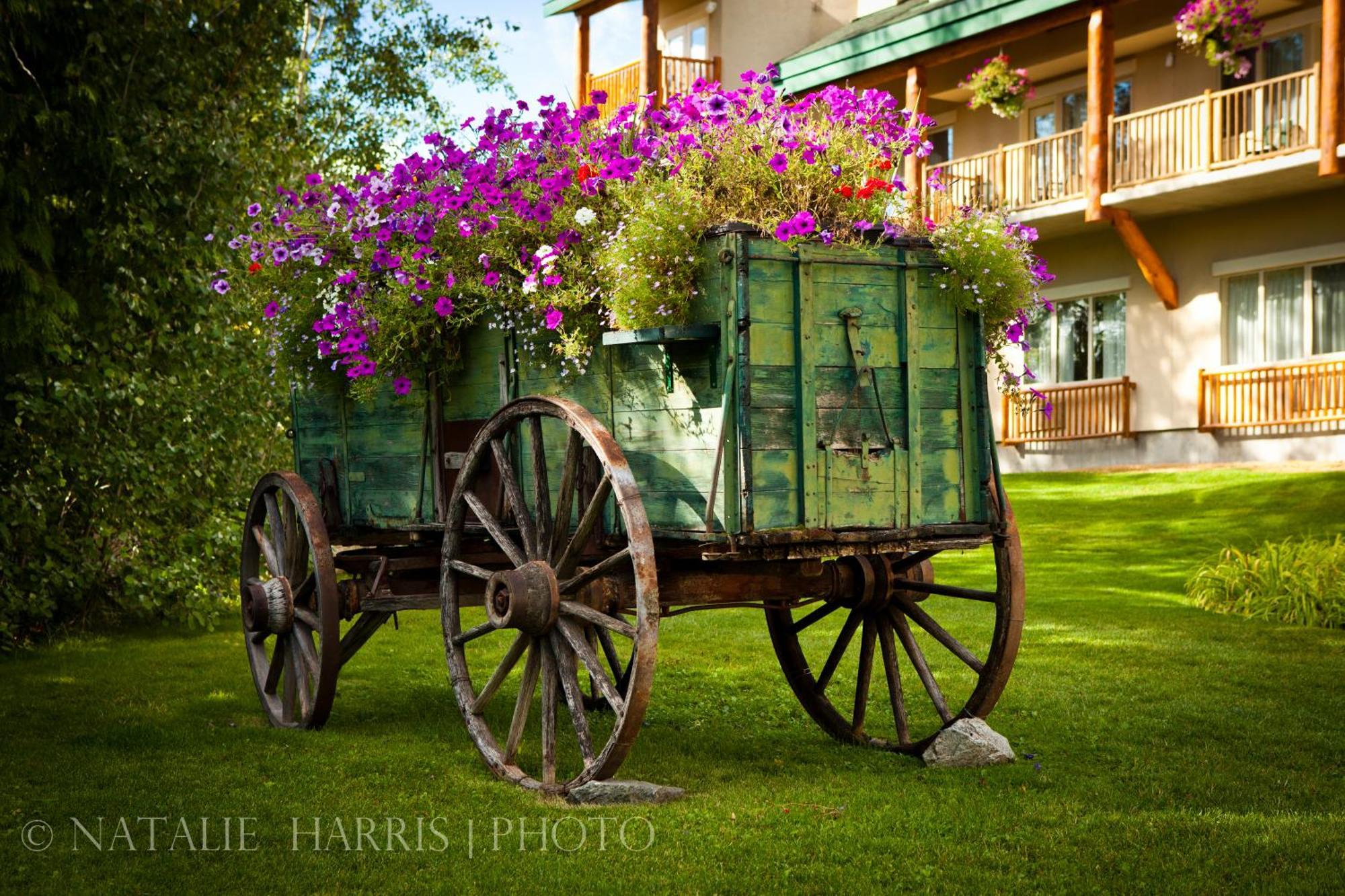 Coast Hillcrest Hotel Ревелсток Экстерьер фото